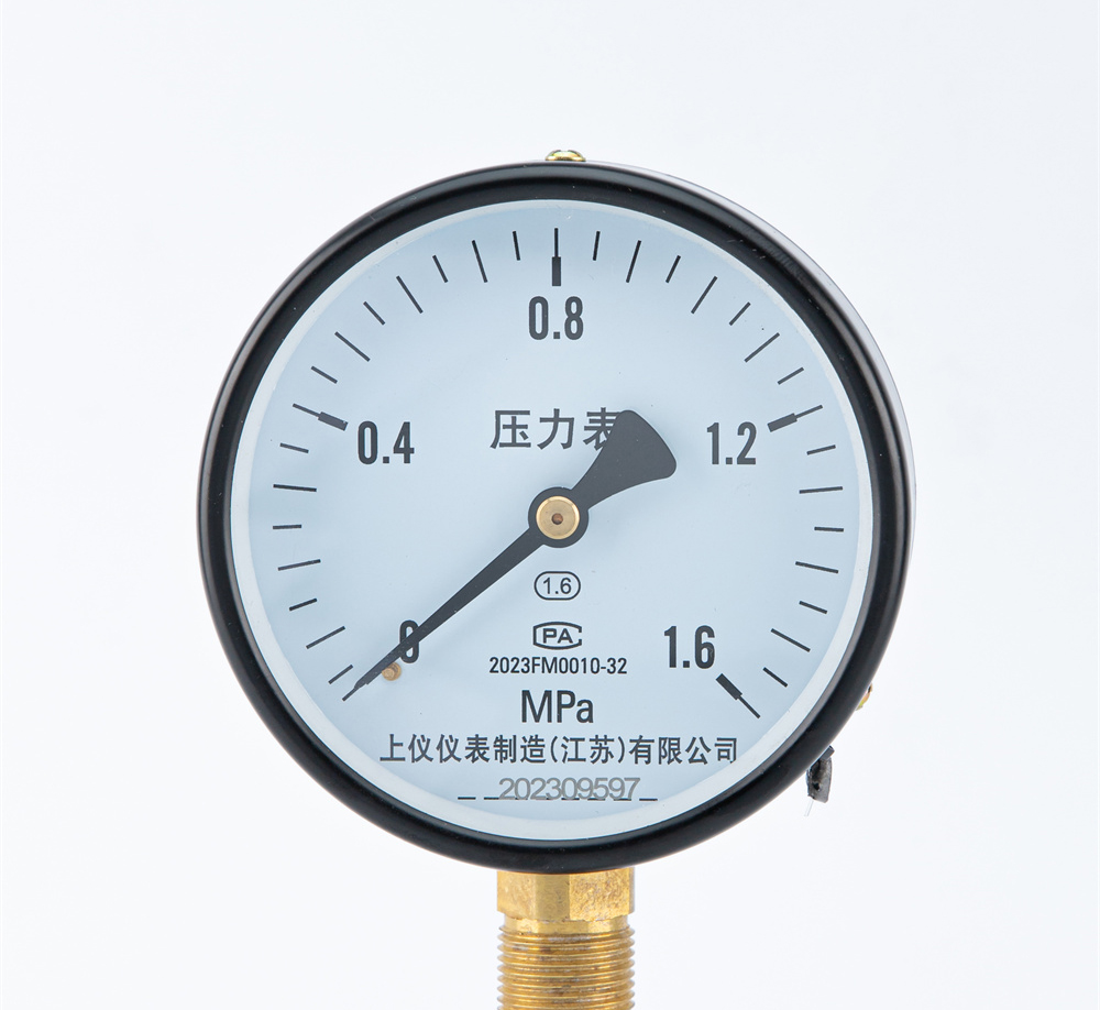 压力表 Y-100