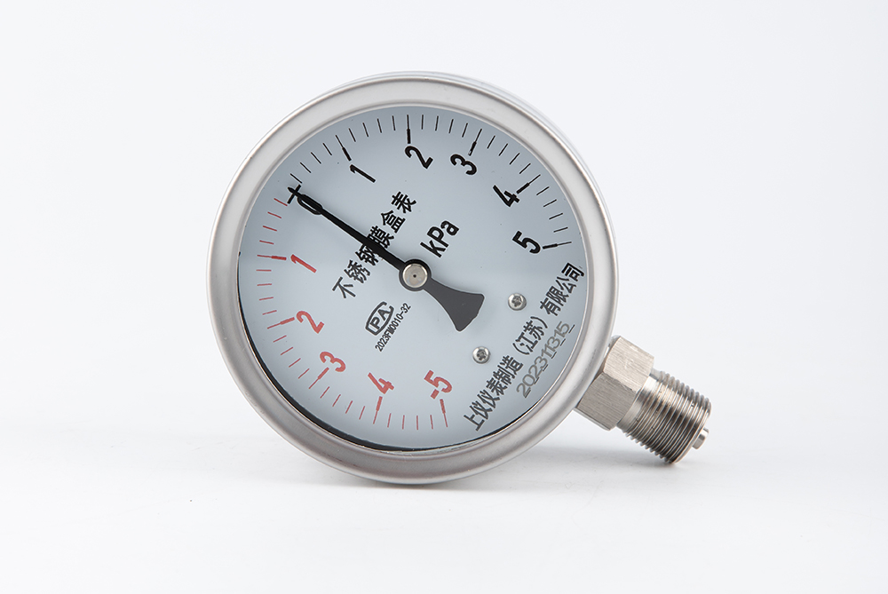 不锈钢膜盒压力表YE-100BF