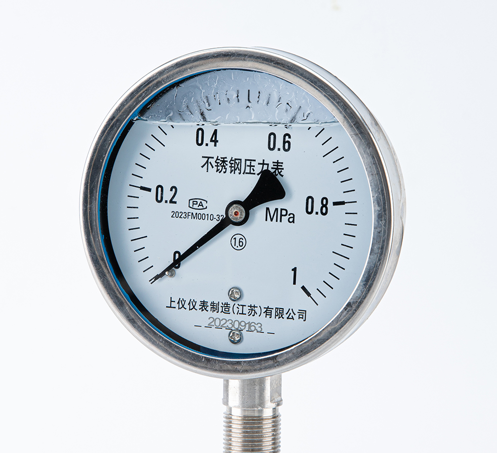 不锈钢耐震压力表YN-100BF