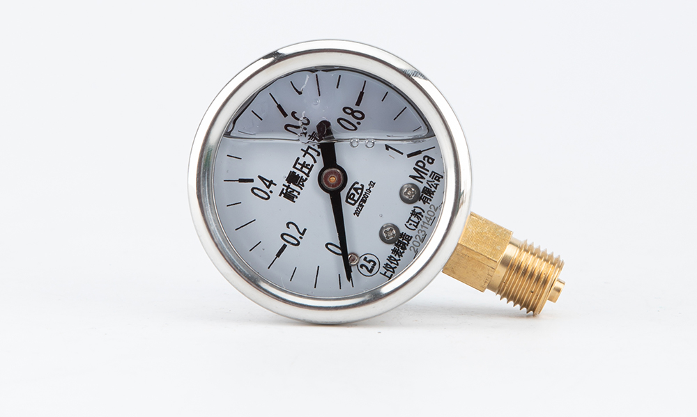 耐震压力表YN-50