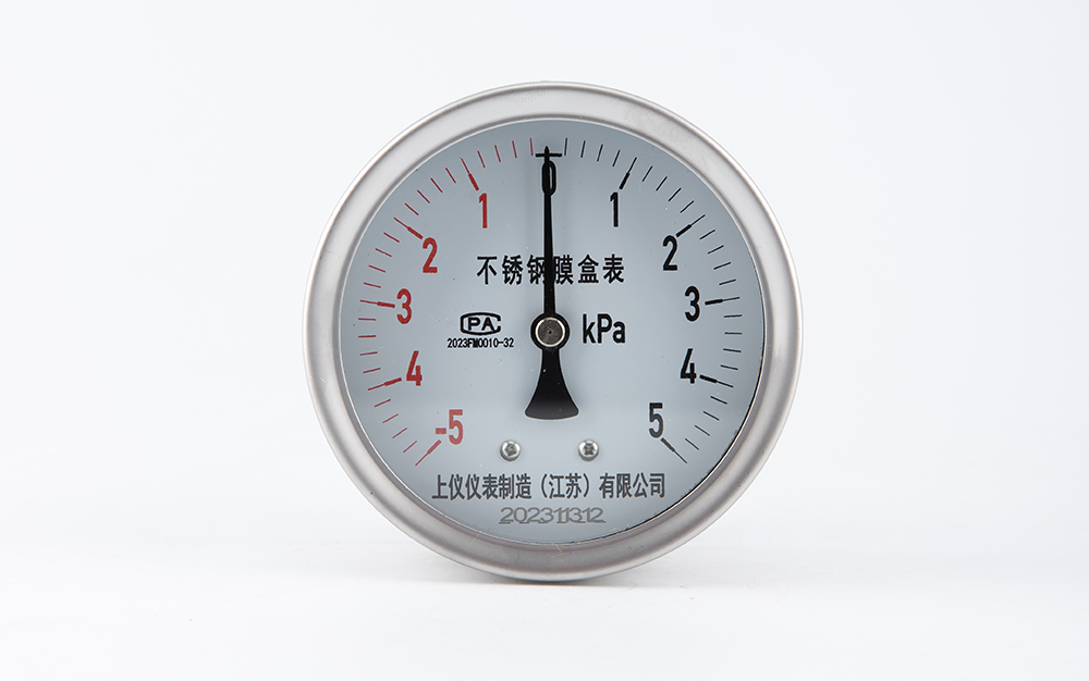 不锈钢轴向压力表YE-100BF-Z