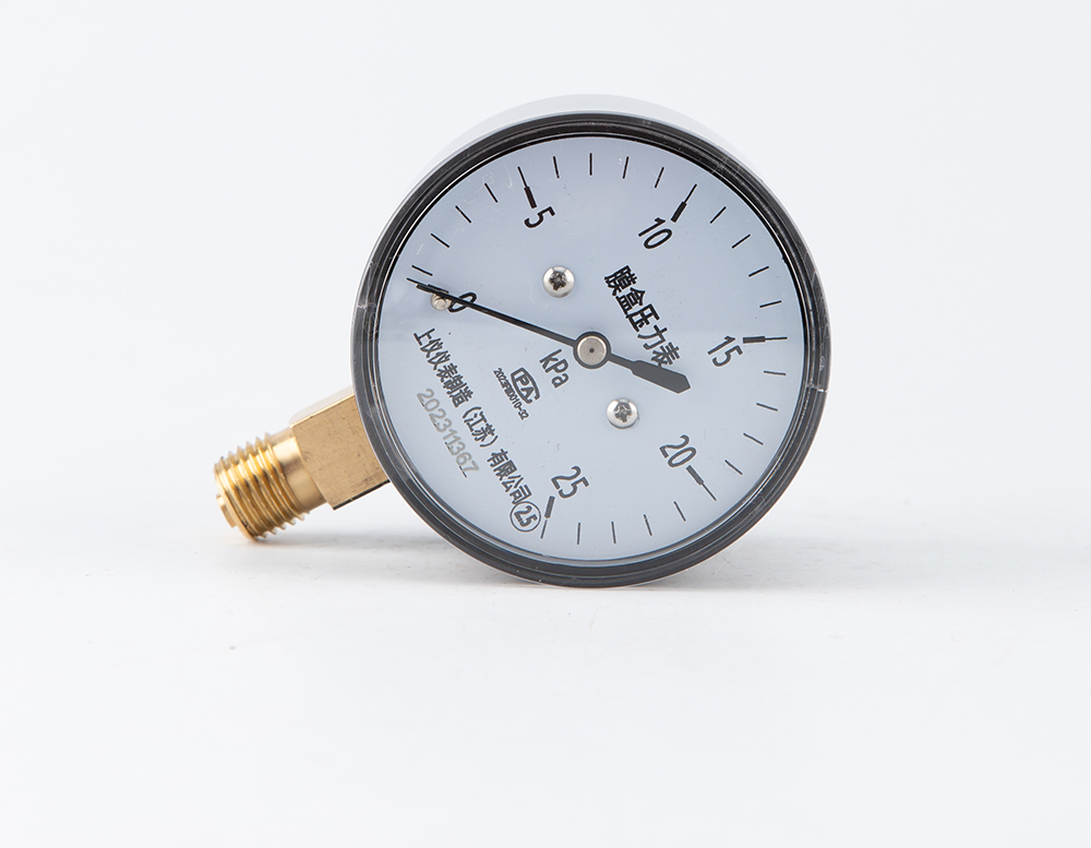 膜盒压力表YE-60