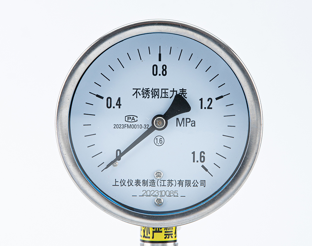 不锈钢隔膜压力表Y-100BF-ML